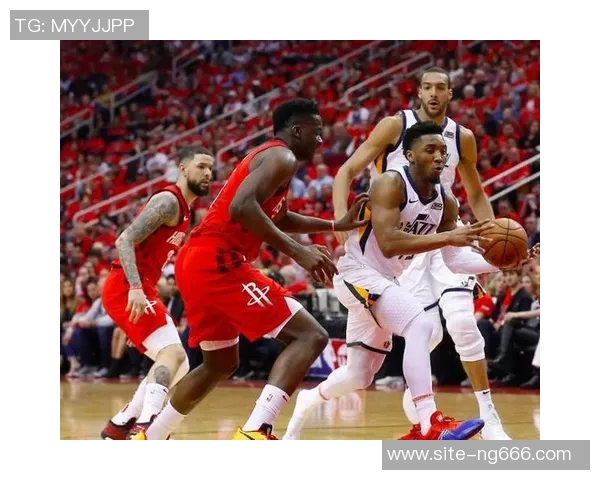 成都排球队的战术解析与控制能力深度探讨